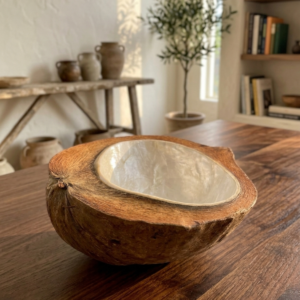 cuenco corteza de nacar