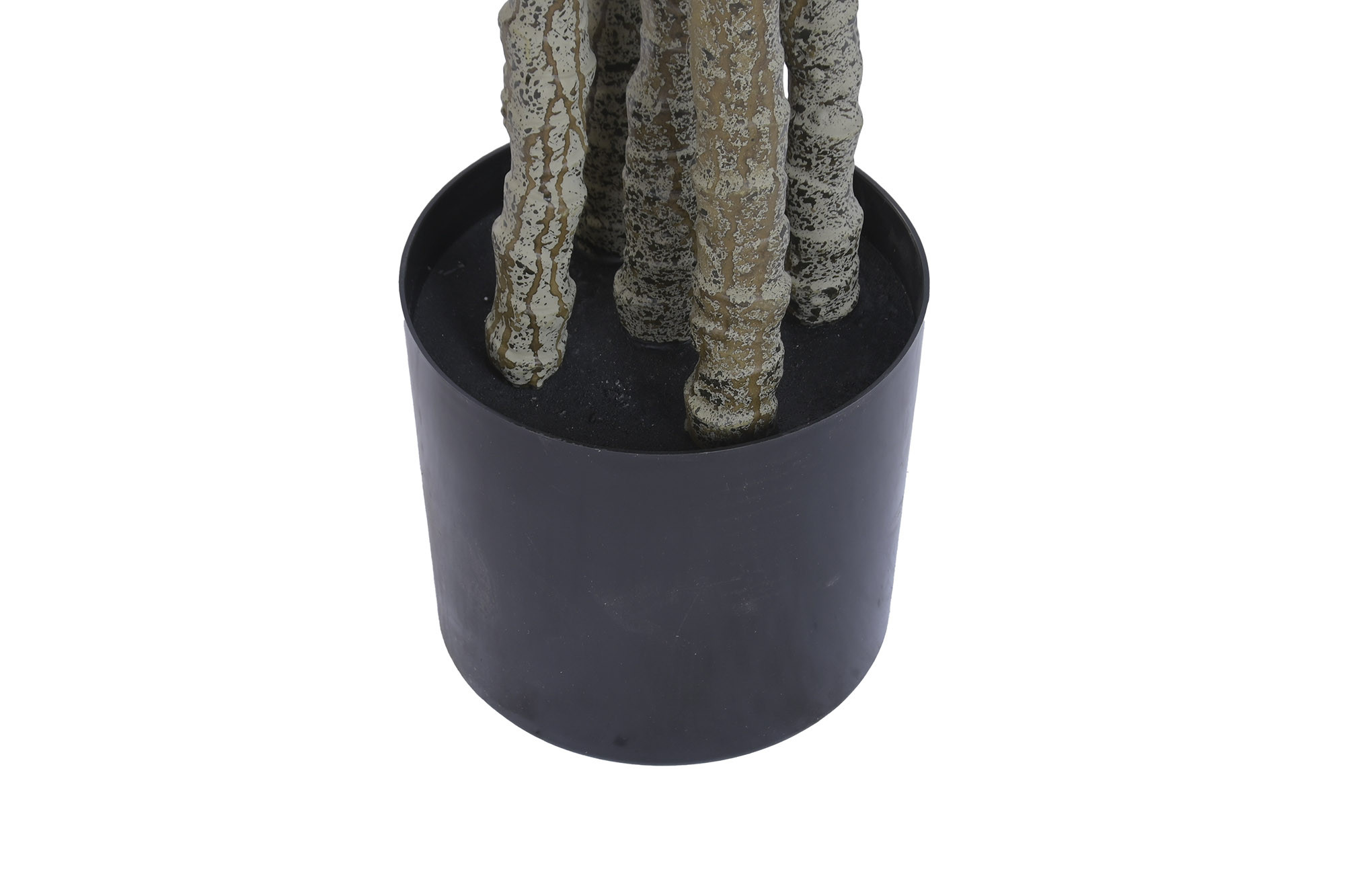 PLANTA PE 62X54X150 YUCA VERDE - Imagen 4