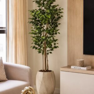 PLANTAS ARTIFICIALES