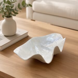 Concha peregrina de nácar 19 × 12 × 6 cm | Decoración natural