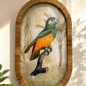 Cuadro Decorativo de Loro Tropical con Marco de Ratán